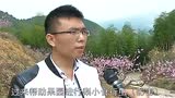 防治桃树梨小食心虫新技术